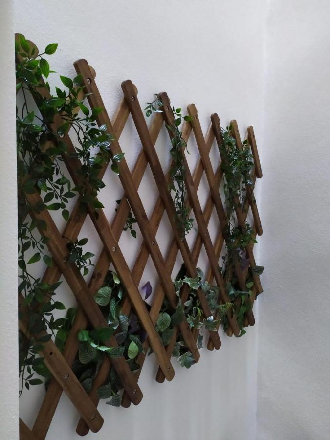 Apartamento Casa Urquinaona Cádiz Exterior foto